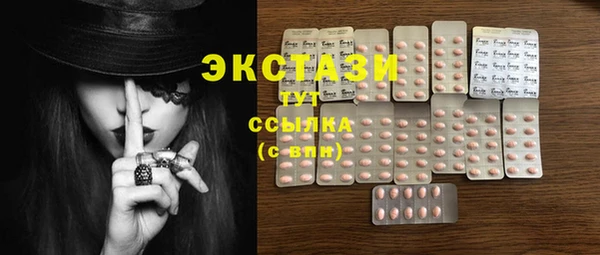 гашик Алексин