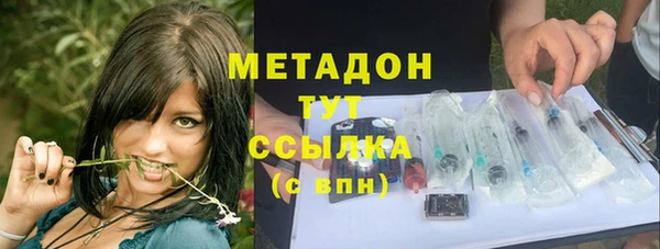 гашик Алексин