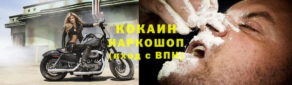 гашик Алексин