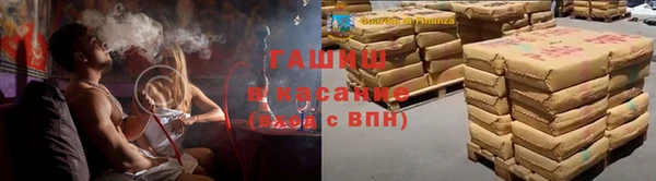 гашик Алексин