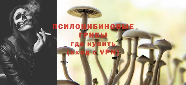 гашик Алексин