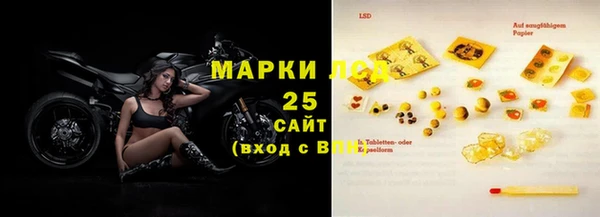 гашик Алексин