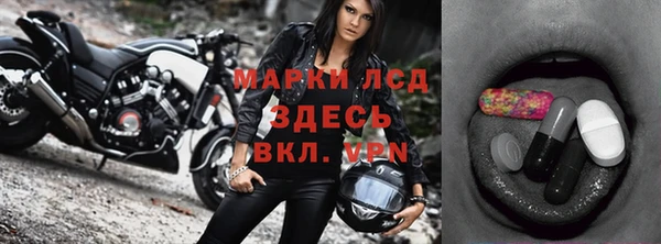гашик Алексин