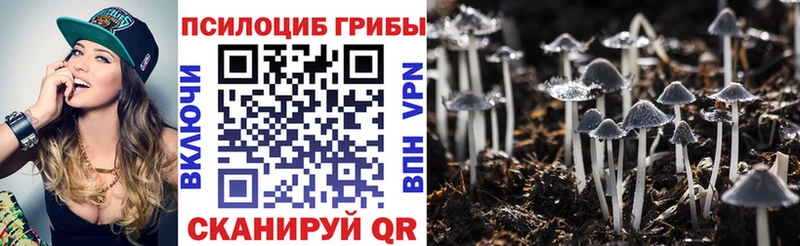 гидра рабочий сайт  Вихоревка  Галлюциногенные грибы Magic Shrooms  как найти закладки 
